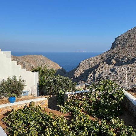 Cycladic Houses In Rural Surrounding أمورجوس المظهر الخارجي الصورة