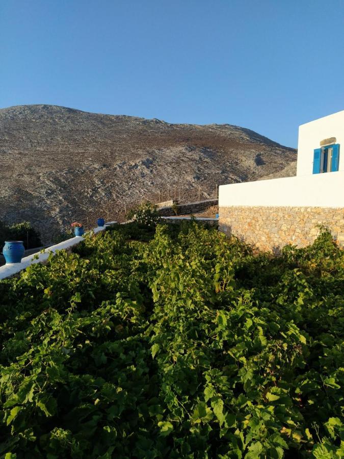 Cycladic Houses In Rural Surrounding أمورجوس المظهر الخارجي الصورة